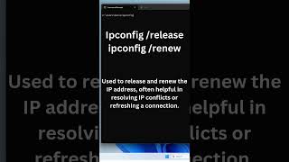 ipconfig windows networking [upl. by Eslehc]