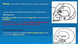 7 Pterion د  احمد مصطفى كمال [upl. by Bettina]