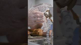 Creating a Waterford Crystal requires precise focus handmade artisans waterfordcrystal [upl. by Noslien]