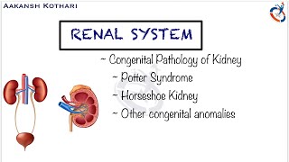 Congenital Pathology of Kidney Potter Syndrome Horseshoe Kidney and other anomalies  Renal System [upl. by Rooker]