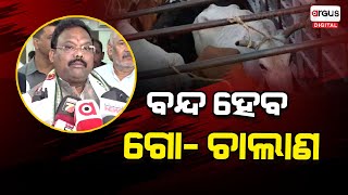 ବନ୍ଦ ହେବ ଗୋଚାଲାଣ  Cow Safety  Odisha  Argus Digital [upl. by Strenta]