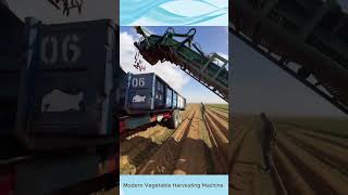 Modern Vegetable Harvesting Machine – High Efficiency and TimeSaving [upl. by Ayarahs]