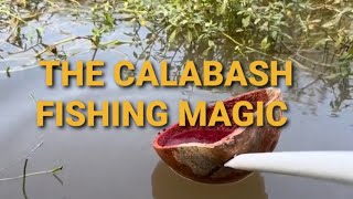 The Calabash fishing magic ASMR [upl. by Terces]