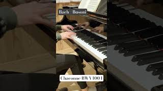 One of Favorite Chaconne Phrases 77 piano bach busoni chaconne violin partita [upl. by Itsirhc952]