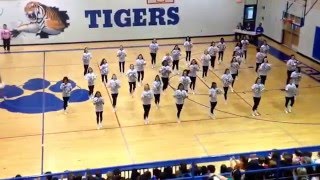 2015  2016 LMS Tigerettes and Cheer Pep Rally Performance [upl. by Rehteh]