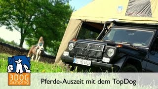 3DOG camping  PferdeAuszeit mit dem TopDog dem idealen Dachzelt für Induvidualisten [upl. by Fletch]