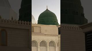 Raqqat Aina Ya Shoqqan 😍 madina islamicvideo ytshorts youtubeshorts shorts [upl. by Tully]