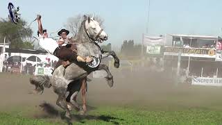 Jineteada en Basto en Faustino Parera Dia Domingo Octubre 2023 Urdinarrain Entre Rios [upl. by Eramat367]