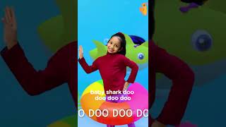 Baby Shark Doo Doo Doo  Cocomelon Nursery Rhymes by Sweet SaudiniKids and Toddler Nursery Video [upl. by Helas983]