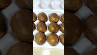 Discovering Chinese Kiwis Flavor Health Benefits and Growing Process shorts farmer fruit kiwi [upl. by Lrat]