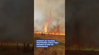 Incêndio de grandes proporções atinge área próxima do IFSP em Araraquara [upl. by Lehplar]