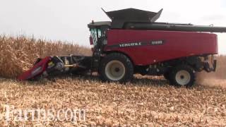 Versatile RT490 Combine With Geringhoff Corn Head at Farm Progress Show Harvest Field Demo [upl. by Klapp551]