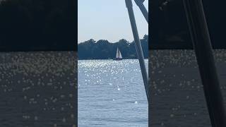 Wannsee [upl. by Pihc]