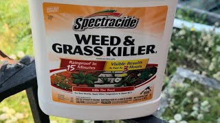 Spectracide Weed amp Grass Killer Review grass spectracide grasskiller weedandgrasskiller [upl. by Subir57]