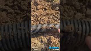 Perforated Land Drainage Tip [upl. by Burrill]