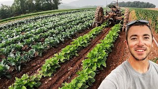 Pennsylvania Vegetable Farming [upl. by Tudor]