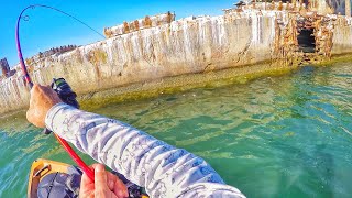 Best Tautog Bite Ever Fishing WW2 Warships [upl. by Htebirol]