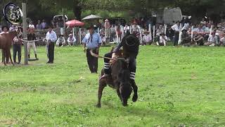 Jineteada montas de potros por jóvenes jinetes en Las Cuevas Entre Rios [upl. by Sad]