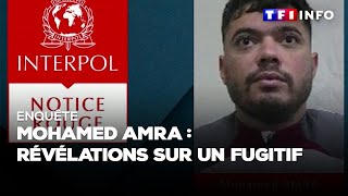 Enquête  Mohamed Amra  documents inédits sur la traque de lhomme le plus recherché de France [upl. by Downing155]