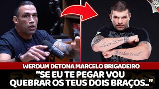 WERDUM perde a paciência com MARCELO BRIGADEIRO [upl. by Amalle446]