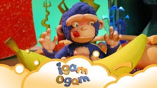 Igam Ogam Not Now S1 E21  WikoKiko Kids TV [upl. by Suillenroc396]