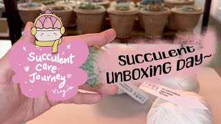 Vlog 100  13024 Succulent Unboxing Day [upl. by Ayala622]