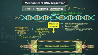 Molecular Basis of Inheritance class 12th part 3 [upl. by Heyra]