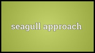 Seagull approach Meaning [upl. by Euqinad843]