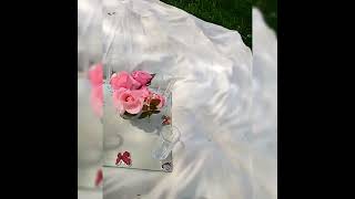 Best flowers for a picnic  Roses serve best for me [upl. by Shamma]