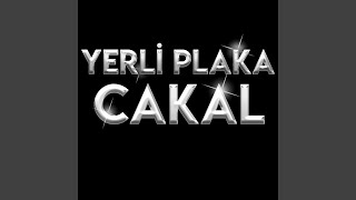 Yerli Plaka Cakal Live [upl. by Spada]