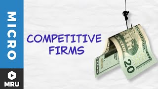 Introduction to the Competitive Firm [upl. by Aicemat]