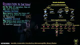 Respiration and Reproduction in Bacteria  11TH BIOLOGY  CHP 6  LECTURE 12 [upl. by Oak603]