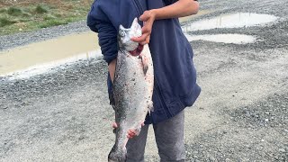 Salmon fishing at tekapo canal [upl. by Whitson]