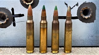 M855A1 vs M855 vs SS109 vs XM193 Crazy Results on Steel [upl. by Dnomasor]