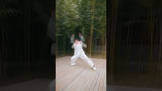 Traditional Chinese Martial Arts Tiger Fistwudang taichi healthQigong  Chinese Kung Fu [upl. by Cocks]