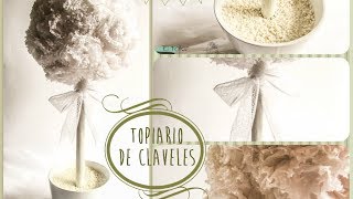 DIY Topiario de claveles o árbol decorativo para bodas y eventos [upl. by Ahsinaw]