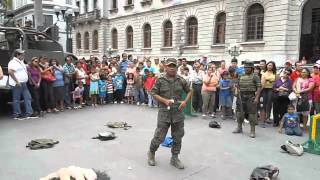 perro antidrogas en la plaza de armas de Tampico [upl. by Wendell]