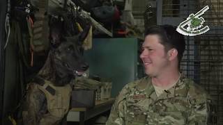 One of the Smartest k9 DOGS in Military Jumps From Plane with Handler 2019 [upl. by Rory]