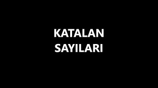 Catalan Numbers Katalan Sayıları [upl. by Annawad]