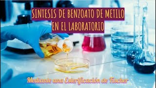 Síntesis de Benzoato de metilo en el laboratorio  Esterificación de Fischer  Fundamentos [upl. by Akemrej122]