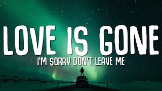 SLANDER  Love is Gone Lyrics ft Dylan Matthew Acoustic quotIm sorry dont leave mequot [upl. by Atined]