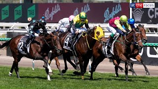 Melbourne Cup 2024 Replay  901 shot Knights Choice wins it in a photo finish under Robbie Dolan [upl. by Nagle]