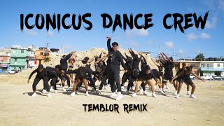 Temblor RemixFarruko El Alfa amp Causa BY Iconicus Dance Crew [upl. by Ehud441]