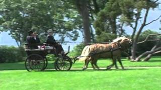 Horse amp Carriage at Boscobel Restoration Garrison NY [upl. by Kee540]