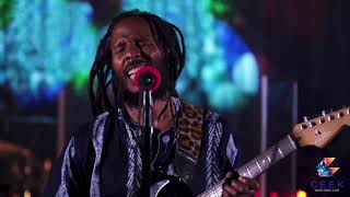 Ziggy Marley  Love is My Religion  2020 Live Stream [upl. by Janot]