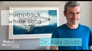 Humpback Whale Song with Dr Alex South [upl. by Yelnek]