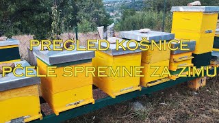 Pregled košnice  Košnica spremna za zimu [upl. by Shanahan]