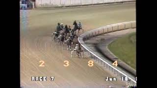 1990 Sportsmans Park ARMBRO ILIAD Dave Magee American National 3YO Open Trot [upl. by Hester]