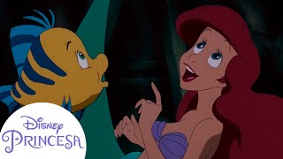 Os Melhores Momentos de Ariel e Seus Amigos  Disney Princesa [upl. by Afas]