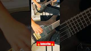 At the gates  Blinded by Fear  Bass Cover [upl. by Liryc]